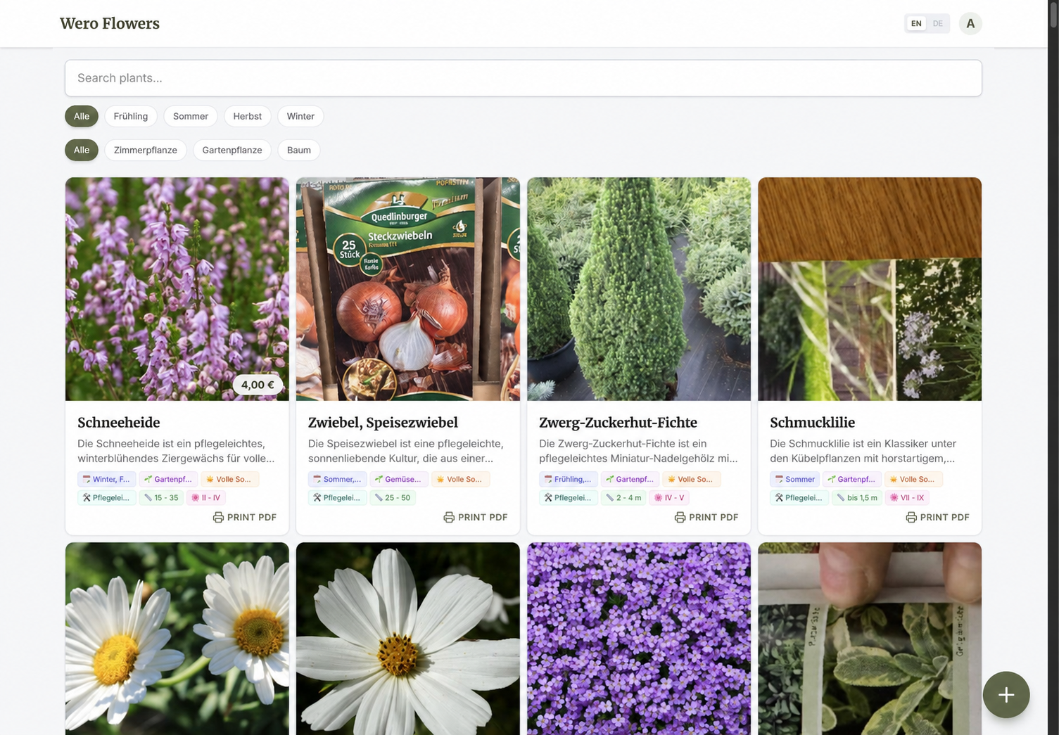 Wero Flowers PWA catalog with prices, filters, and Print PDF actions